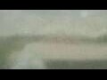 Webcam Alachua, Florida