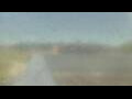 Webcam Alachua, Florida