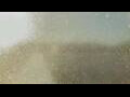 Webcam Alachua, Florida