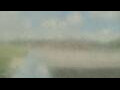 Webcam Alachua, Florida