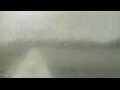 Webcam Alachua, Florida