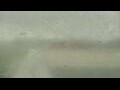 Webcam Alachua, Florida