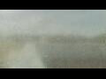 Webcam Alachua, Florida