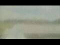 Webcam Alachua, Florida
