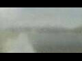 Webcam Alachua, Florida