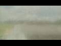 Webcam Alachua, Florida
