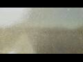 Webcam Alachua, Florida