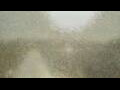 Webcam Alachua, Florida