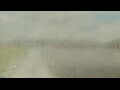 Webcam Alachua, Florida