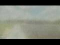 Webcam Alachua, Florida