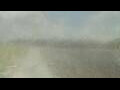 Webcam Alachua, Floride