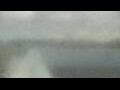 Webcam Alachua, Florida