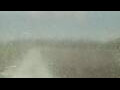 Webcam Alachua, Florida