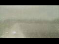 Webcam Alachua, Florida