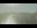 Webcam Alachua, Florida