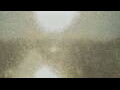 Webcam Alachua, Florida