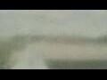Webcam Alachua, Florida
