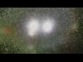 Webcam Alachua, Florida