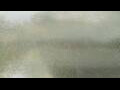 Webcam Alachua, Florida
