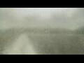 Webcam Alachua, Florida