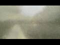 Webcam Alachua, Florida