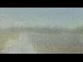 Webcam Alachua, Florida