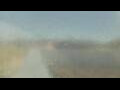Webcam Alachua, Florida