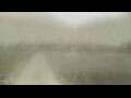 Webcam Alachua, Florida