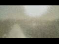 Webcam Alachua, Florida