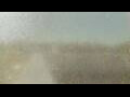 Webcam Alachua, Florida