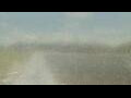 Webcam Alachua, Florida