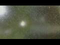 Webcam Alachua, Florida