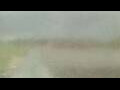 Webcam Alachua, Florida