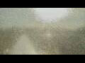 Webcam Alachua, Florida