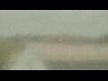 Webcam Alachua, Florida