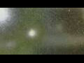 Webcam Alachua, Florida