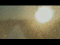 Webcam Alachua, Florida