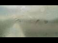 Webcam Alachua, Florida