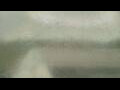 Webcam Alachua, Florida