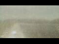 Webcam Alachua, Florida