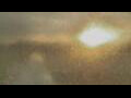 Webcam Alachua, Florida