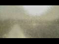 Webcam Alachua, Florida