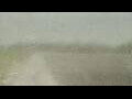 Webcam Alachua, Florida