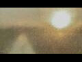 Webcam Alachua, Florida