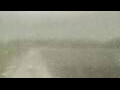 Webcam Alachua, Floride