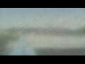 Webcam Alachua, Florida