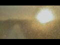 Webcam Alachua, Florida