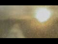 Webcam Alachua, Florida