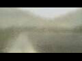 Webcam Alachua, Florida