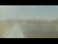 Webcam Alachua, Florida